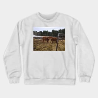 Scottish Highland Cattle Calves 1746 Crewneck Sweatshirt